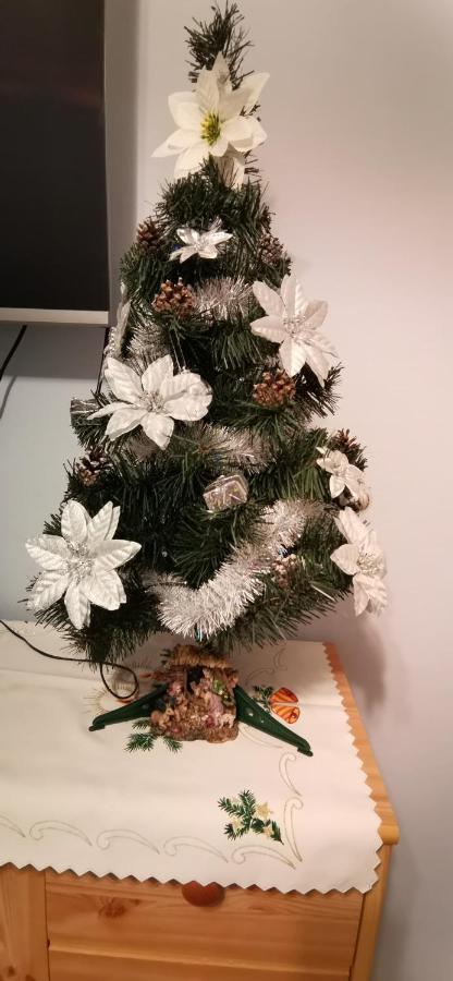 דוז'ניקי ז'דרוז' Apartament Milka W Dusznikach Zdroju מראה חיצוני תמונה